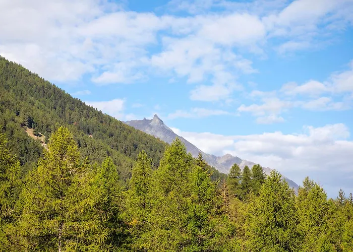 Appartement Torre St Orso 4061 - Maison Gerard *